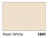 Nippon 9000 Gloss Finish 1301 Pearl White