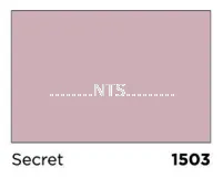 Nippon 9000 Gloss Finish 1503 Secret