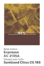 Nippon Momento Cloud Gold CG186 AC 2135A Expresso