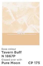 Nippon Momento Cloud Pearl CP175 N 1867P Tavern Buff