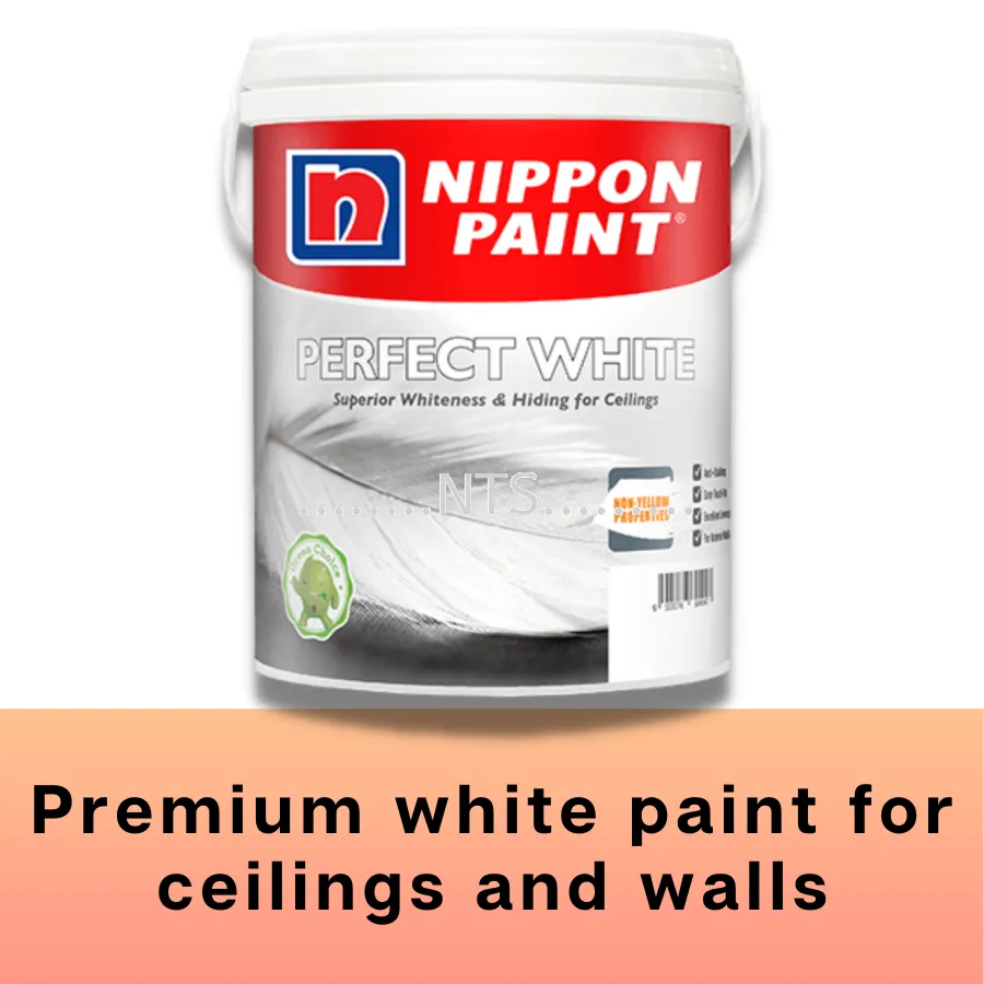 Nippon Paint Perfect White