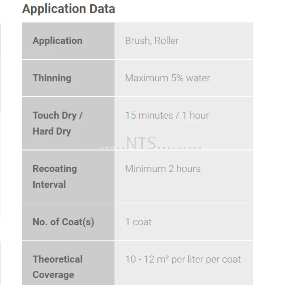 Nippon Paint 5100 Wall Sealer - Image 3