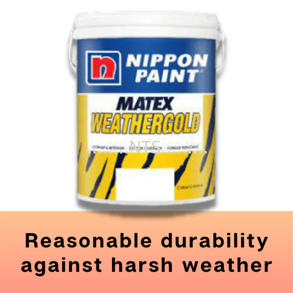Nippon Paint Matex Weathergold