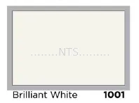 Nippon Satin Glo