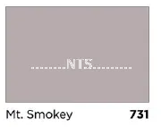 Nippon Satin Glo 731 Mt.Smokey