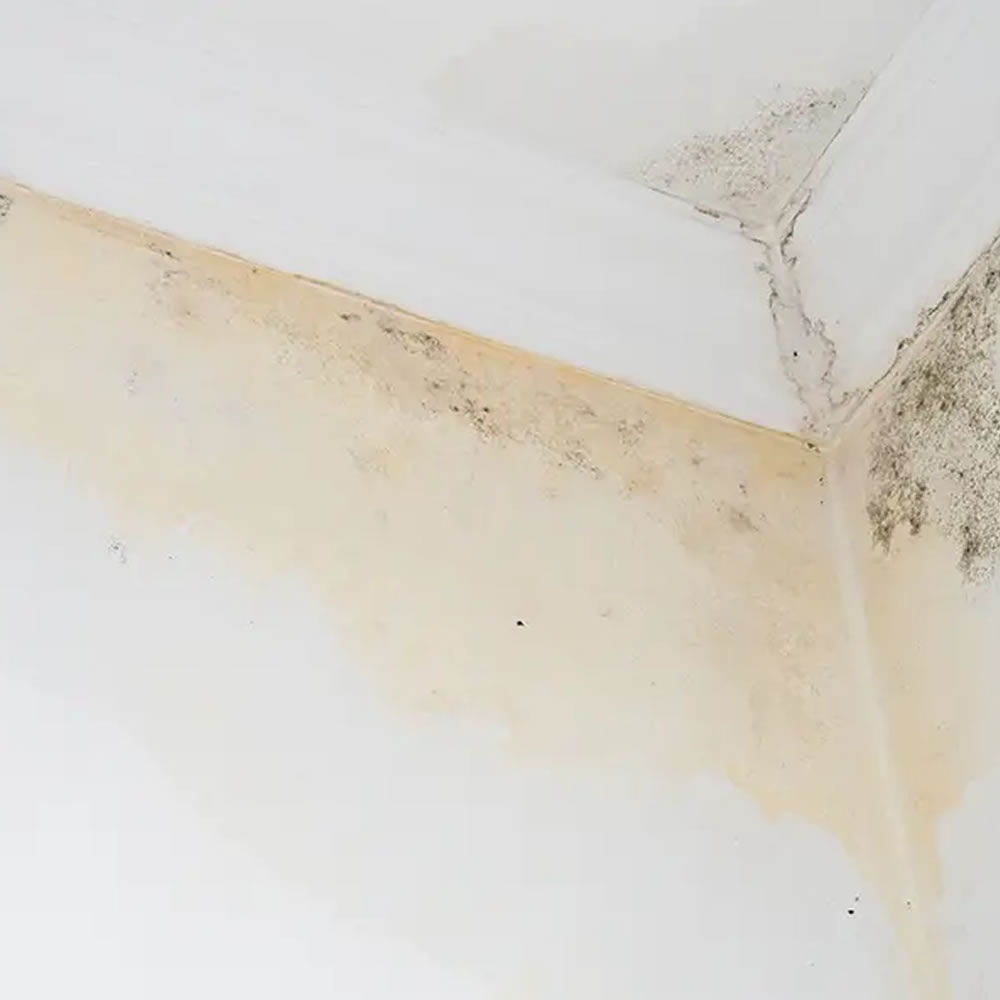 Wall Problem & Solutions