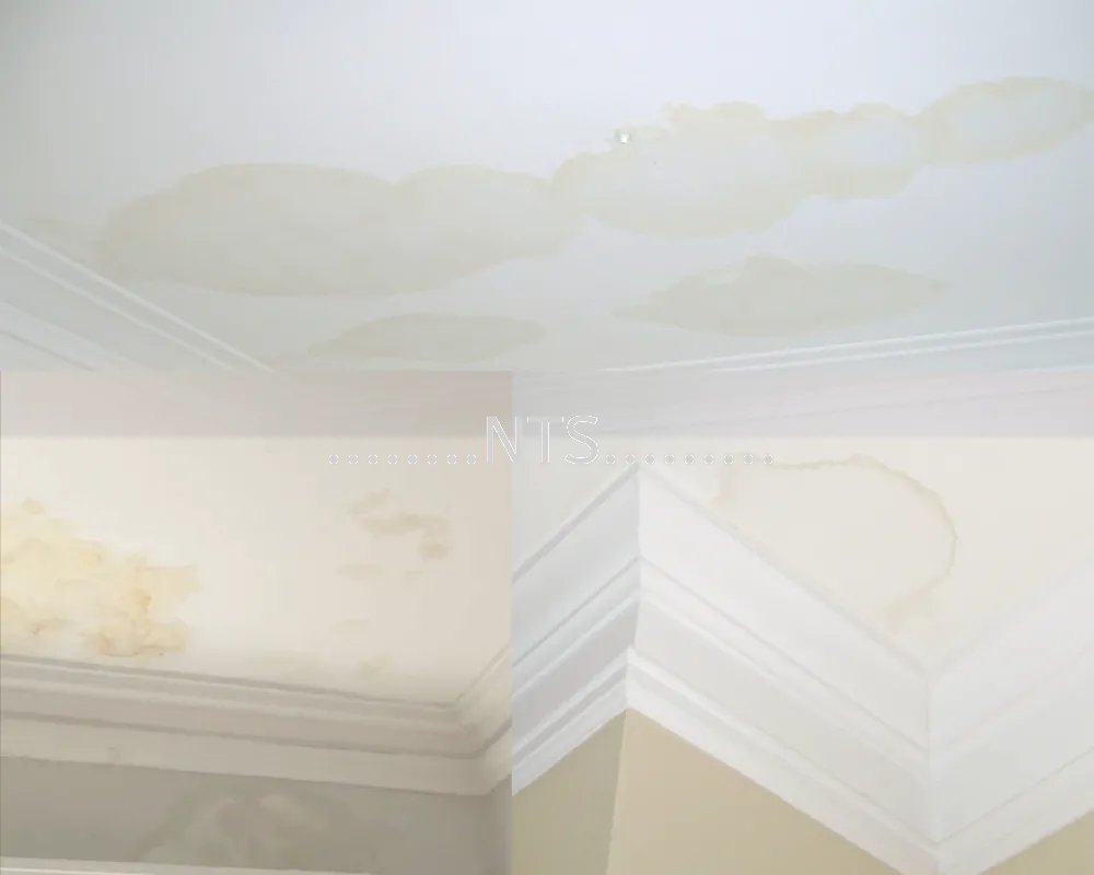 Yellow Mark And Water Mark On Ceiling (Internal)